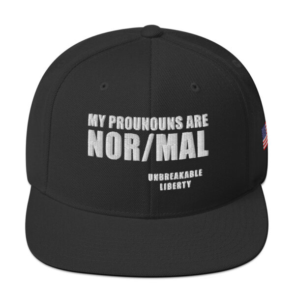My Pronouns Are Nor/Mal - Image 3