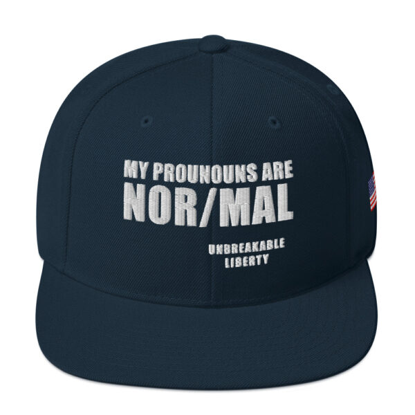 My Pronouns Are Nor/Mal