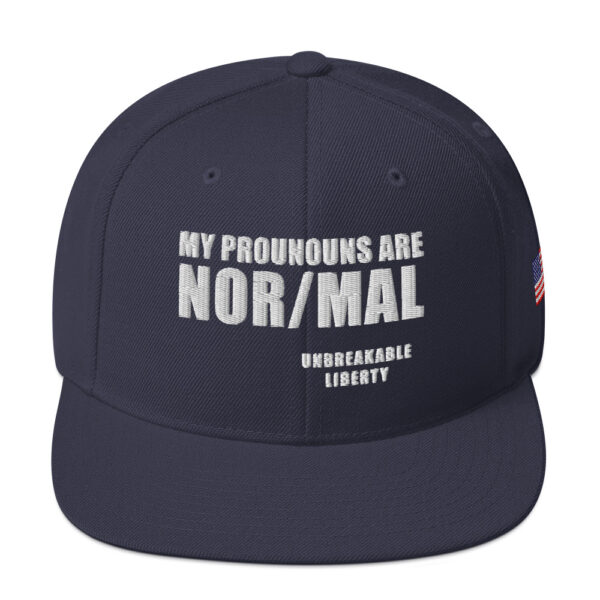 My Pronouns Are Nor/Mal - Image 7